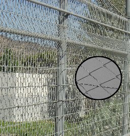 ���� ���  �������� �� ���� ����